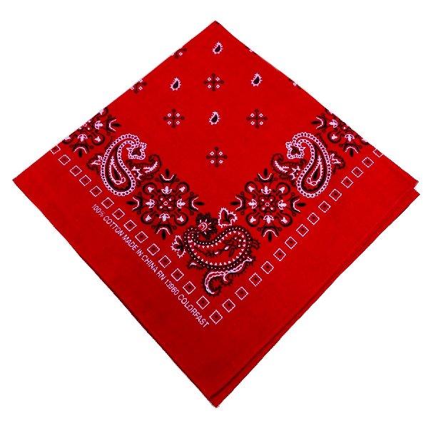 BANDANA--Red Paisley Print